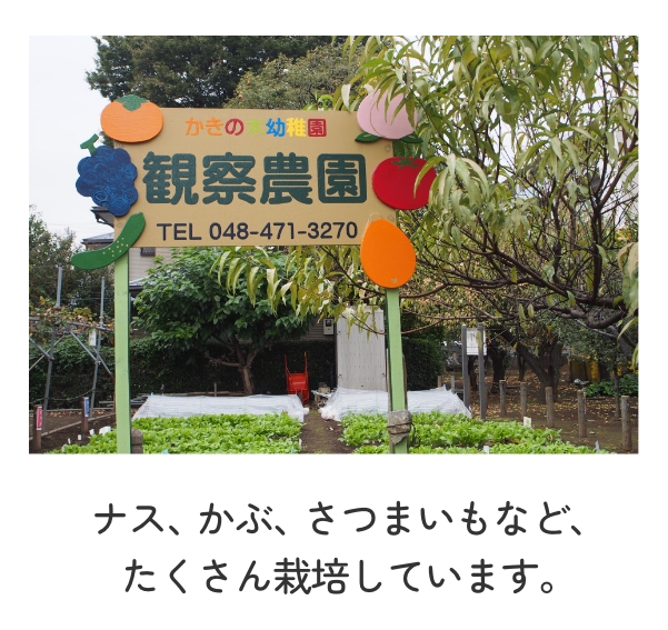 観察農園